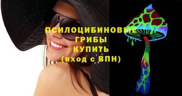 тгк Богородицк