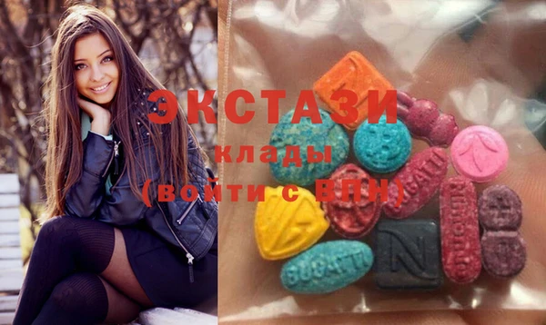 тгк Богородицк