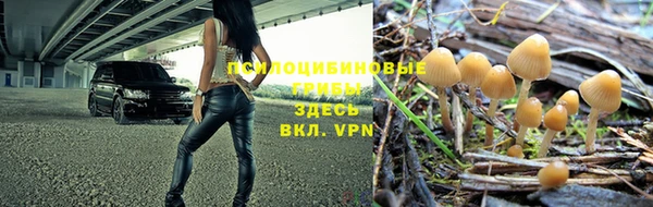 ПСИЛОЦИБИНОВЫЕ ГРИБЫ Богородск